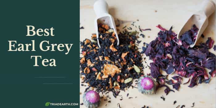 Best Earl Grey Tea – Choose the Right Flavor & Quality