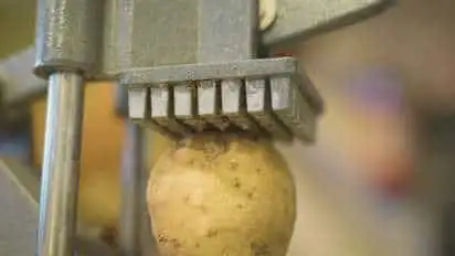 Wall Mounted Potato Cutter